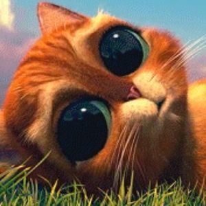 Meet your Posher, Melly